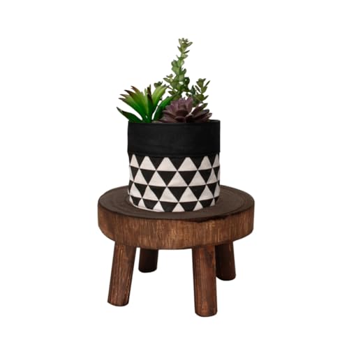 Mini Soporte de Exhibición de Taburete de Madera, Estante Decorativo Redondo para Flores, Estante para Bonsái, Soporte Elevador para Macetas de Jardín, Soporte Moderno para Plantas(Marrón/14*9cm)