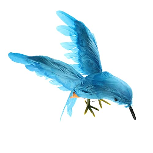 Baosity ̒u I lHtFU[ H΂ XY̑ 뉀 u[