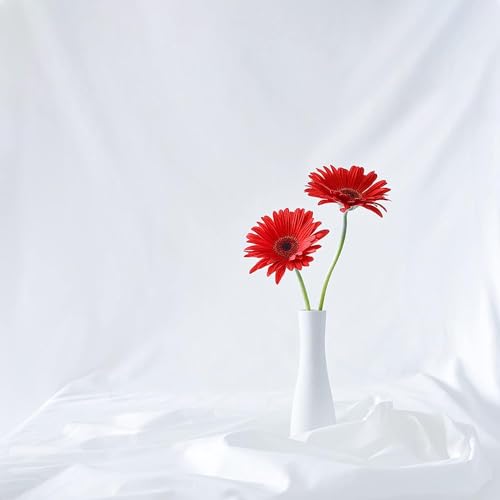 Fondo Fotográfico Blanco 8 X 10 Pies 100% Poliéster miniatura 7