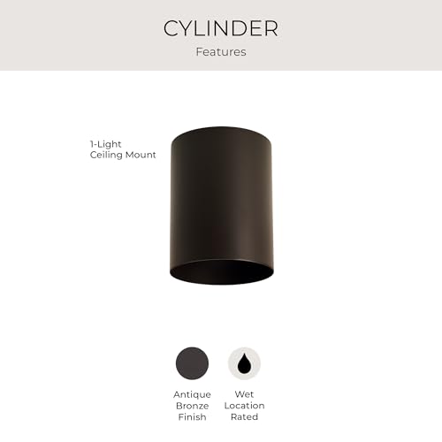 Image of Progress Lighting 5-Inch Cylinder Outdoor Ceiling Light, 1-Light Modern Flush Mount Ceiling Light Fixture, Interior and Exterior Lighting for Home or Porch, Aluminum Construction, Bronze (P5774-20)
