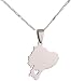 zhuangpuxu Collar Collar de Acero Inoxidable Mapa de Ecuador Collares Colgantes Mapas...