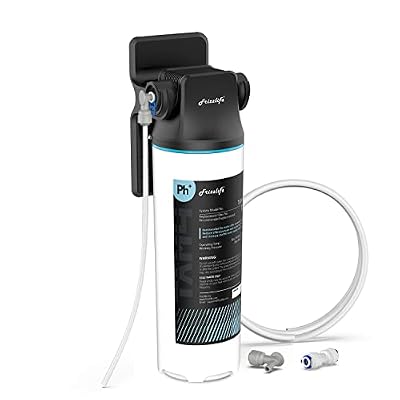 Frizzlife TAM4 Under Sink Inline Water Filter - Alkaline PH+ Remineralization, NSF/ANSI 42 Certified, Adjust Taste & PH, Restore Essential Minerals, 1/4" Pipe Fits for Reverse Osmosis Systems