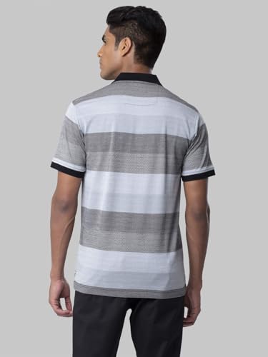 Image of Raymond Men's Regular Fit Polo