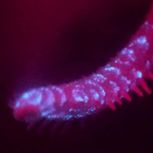 2023.6.1. 「昔はいたんだけどね」っていいたくないから&hellip;。今伝えたい海の「光」とは？ Podcast Por  arte de portada