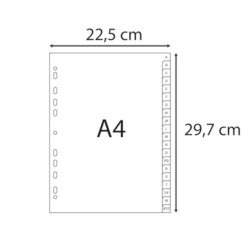 Intercalaires A4 plastique gris Exacompta pour ne plus perdre vos papiers - 4