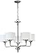 Quorum International 6090-5-65 Rockwood 5 Light Chandelier, Satin Nickel