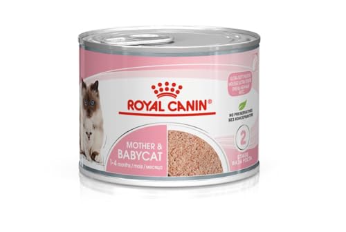 Royal Canin Mother & Babycat Mousse | 12 x 195 g | Alleinfuttermittel für Katzen | Speziell für die Mutterkatze und ihre Welpen | Zur Unterstützung der körpereigenen Abwehrkräfte