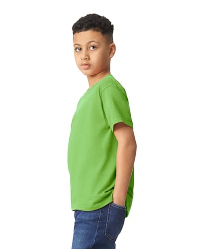 Image of Gildan Big Boys' Heavyweight Taped Neck Comfort T-Shirt, Medium, Lime