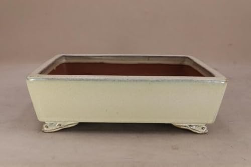 y~͔z  ؗiE25cmj 悶