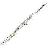 Le joint et le panneau d'écho en métal peuvent produire une bonne résonance et une puissance explosive, ce qui est la partie centrale de l'instrument.