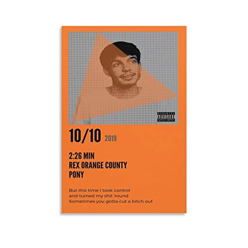 Poster Rex Orange County toile idée cadeau musique pour chambre 50x75