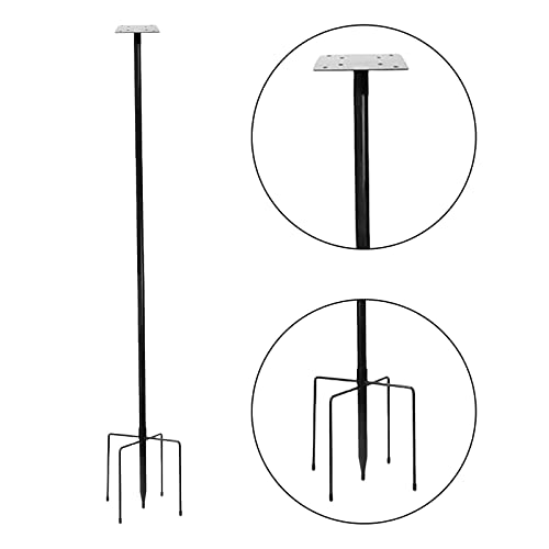 Gralara Suporte de Alimentação para Aves em Casa - Elegância e Praticidade