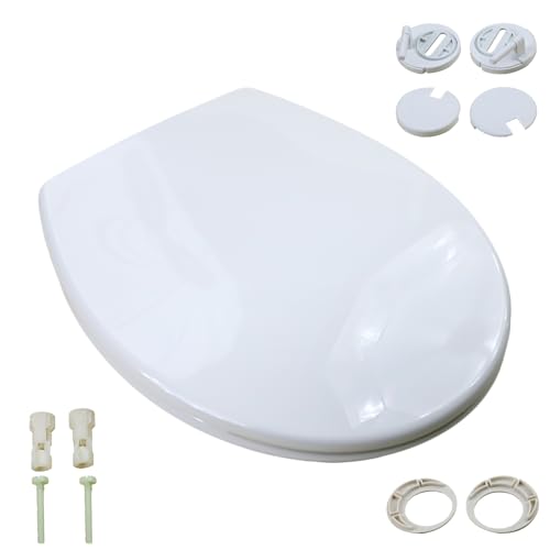 Asientos de inodoro (forma ovalada)