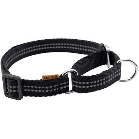 Aiminto Adjustable Nylon Reflective Martingale Dog Collar for Training and Walking (Black, XS (Neck: 10"-14", Width: 3/8")) Cover