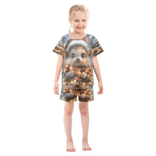ALAZA Hedgehog Animal Snowflake Christmas Pajamas Set Short Sleeve Cotton Sleepwear Summer Pjs 2 Piece 5-14Y3
