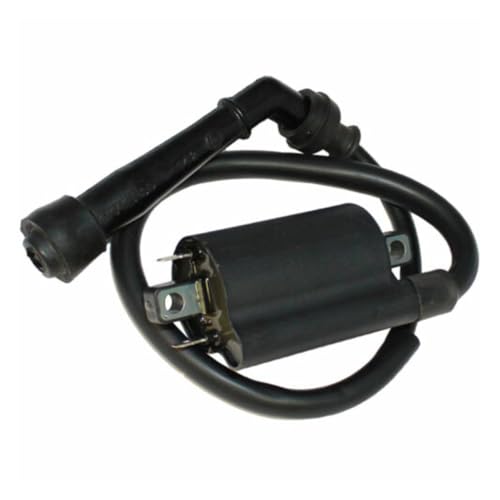 Bobina de encendido para Volusia 800 VL800 modelos de 2001 a 2004 2