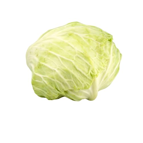 ZENXIN Organic Cabbage 500g (Packaging may vary)