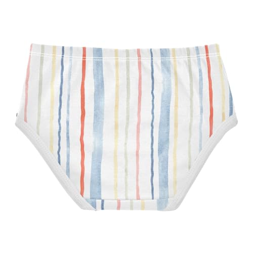 Cotton Panties Panties Training Organic Cotton Toddler Underwear for Toddler in Sizes 2T,3T, 4T, 5T, 6Y and 8Y2
