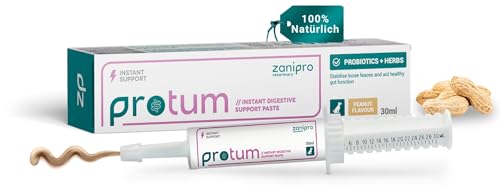 Zanipro Probiotische und Präbiotische Paste für Hunde und Katzen Gegen Durchfall – Natürliches Durchfallmittel Hund & Durchfall Paste, stärkt Darmflora Hund, Probiotika für Hunde (30ml) Erdnuss