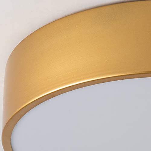 Lanros Modern Gold Flush Mount LED Ceiling Light Fixture, 13.8-inch Simple Drum Ceiling Lighting with 4000K Neutral White for Dormitiry Hallway Bedroom Foyer Kitchen,18W, 1530LM, Non Dimmable