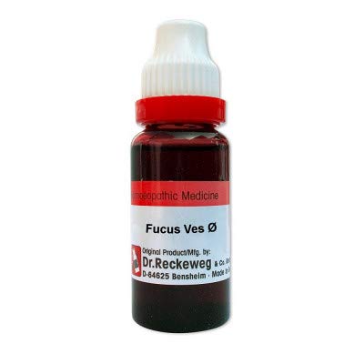Dr. Reckeweg Germany Homeopathic Fucus Vesiculosus Mother Tincture Q (20ml) - by Venus.Exports