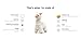 Steiff Original Lama Soft Cuddly Friends Leandro Imagen de Steiff Original Lama Soft Cuddly Friends Leandro