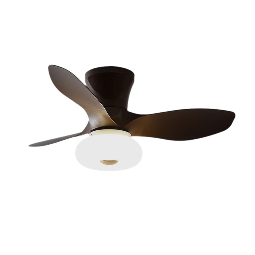 HXYSXHJUO Fan Light Ceiling Electric