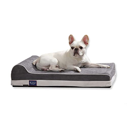 Laifug Orthopedic Memory Foam Dog Bed With Pillow And Durable Water Proof Liner & Removable Washable Cover & Smart Design Medium (34"X22"X7"), Slate Grey #TOP19
