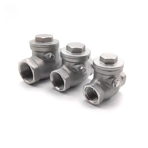 Válvula de retención horizontal 1 pulgada BSP para tuberías con rosca hembra 304ss 2