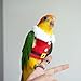 CXYYXF Bird Clothes Birds Flight Suit, Christmas Hoodie for Parrots Cockatiel Sun Conure Christmas Party Cosplay Photo Prop Bird Small Animals (Without Diaper,M)