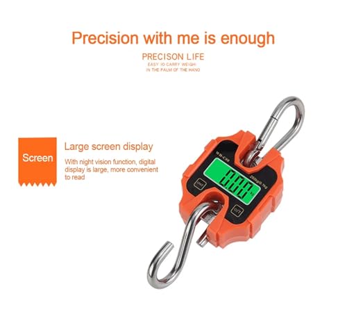 Balance numérique de haute précision 250 kg portable suspendue électronique