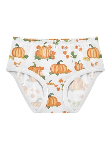 ZZKKO Orange Pumpkin Harvest Girls Underwear Toddler Panties for Girls Comfort Brief Size 2T
