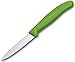 Produktbild Victorinox KC44559 3.25 Inch Swiss Classic Paring Knife with Straight Edge, Spear Point, Green, 18/8 Stainless Steel