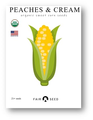 Organic Peaches and Cream Sweet Corn Seeds 25+ Seeds