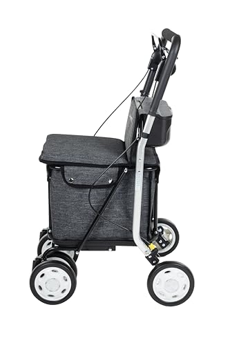 Carrello Carlett Grigio scuro (1 Unit?)
