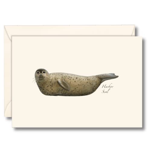 Image of Earth Sky + Water - Harbor Seal Notecard Set - 8 Blank Cards with Envelopes