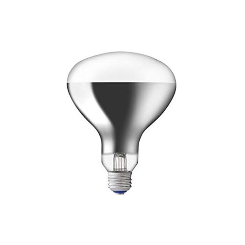 Amazon.co.jp: 岩崎電気 省電力形屋外投光器用ランプ 屋外用アイ