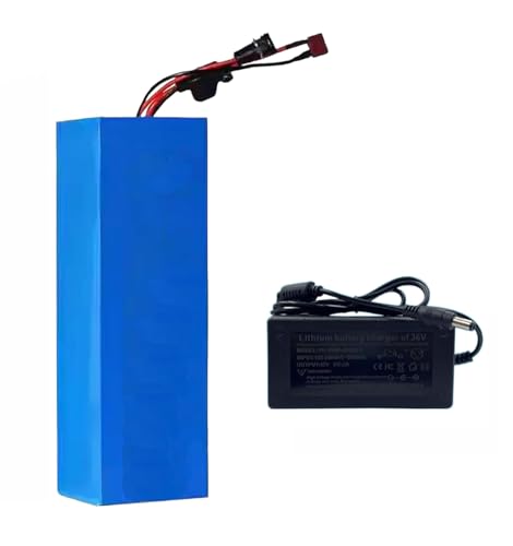 Batería De 36 V Y 20 Ah para Bicicleta Eléctrica, Batería Recargable De Iones De Litio con Cargador, Batería De 36 V para Bicicletas Eléctricas, Triciclos, Karts Y Motocicletas. (36V 20AH),XT60+SM