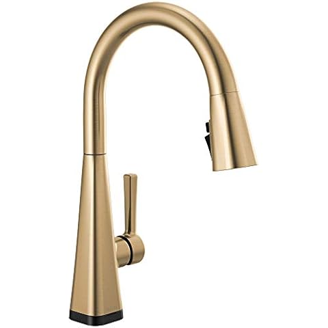 Delta Faucet Lenta Gold Touch Kitchen Faucet Cover