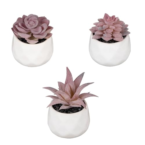 Vibrant Leaf Set of 3 Artificial Succulent Plants with Ceramic