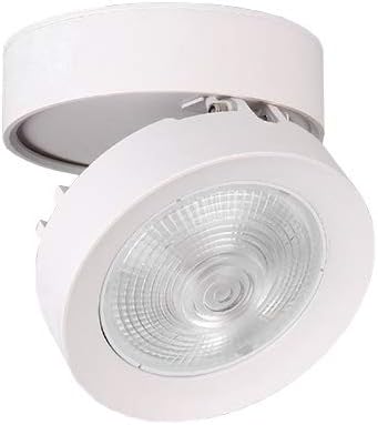 15W Foldable Color-temperature Adjustable COB LED Ceiling Downlight Spotlight Surface Mount Light Fixture Picture Wall Project White