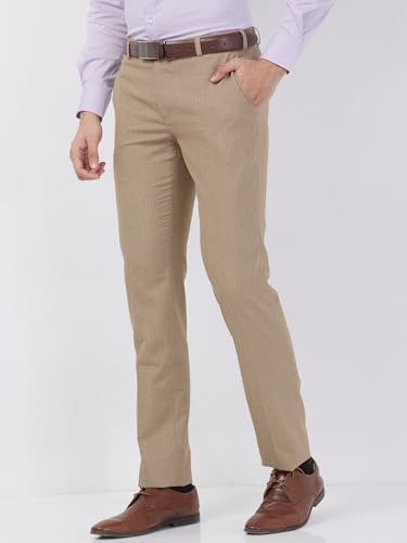 Image of Raymond Men Slim Fit Structure Pattern Polyester Blend Flat Front Formal Trouser