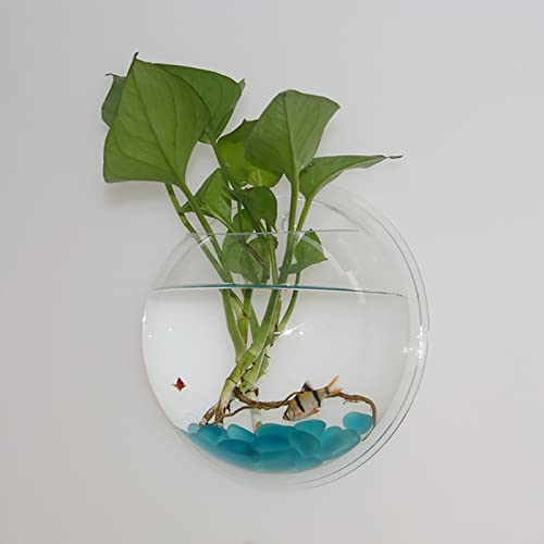 Wall Mounted Flower Pot - 5.9'' Clear Acrylic Round Vase Decoration,Wall Hanging Mount Fish Bowl Aquarium Decorative Plant Pot Hanging Hydroponic Pot Transparent 15Cm #TOP2