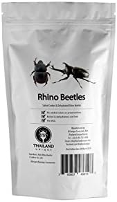 Amazon 食べられる昆虫シリーズ 乾燥 カブトムシ 塩味 並行輸入品 Newport Jerky Company 乾物 通販