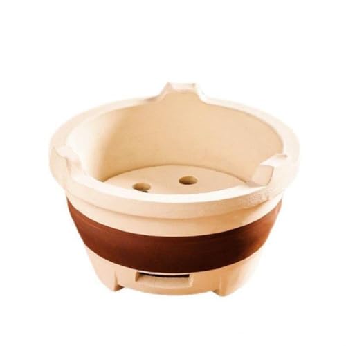 Sefoemut ΂͂ł𐆂AY΂Ă 2`5lpAo[xL[ARA]yA^ƒpAی^AĂ (gybgYF) [sAi]