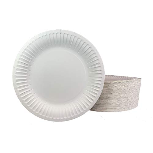 DHG PROFESSIONAL The Heavy Weight Standard 9-Inch Grease Resistant Paper Plates coated White 125 Plates