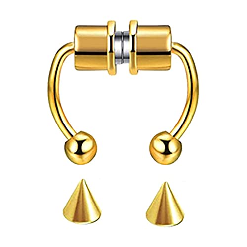 Ewepdwo Anneau Faux Nez MagnéTique Cover