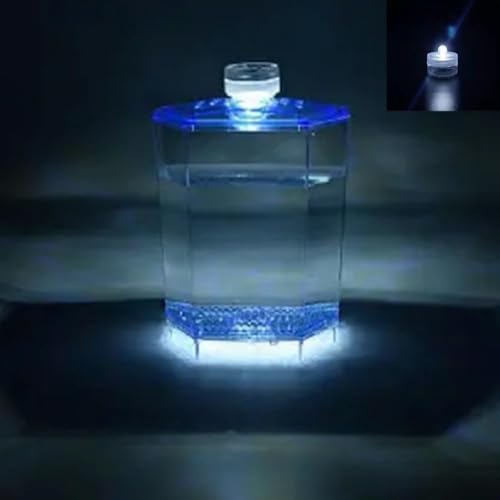 ミニデスクトップフラットアクアリウムセット、ポンプ・LEDライト付属、EnergyDeer、観賞魚飼育、生態系、病気の魚隔離室、アクリル素材、フィルターシステム、小型生態系、水換え簡単、オフィス/リビング装飾、観賞用 (単コマベタ水槽【プラスチックタイプ】
