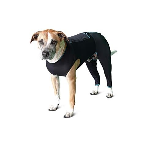 BENEFAB Therapeutic Comfort Suit for Dogs — Lightweight Far-Infrared Jacket for Canines of All Ages — Relaxing FIR Compression Suit Soothes Muscles, Joints, and Pain (X-Small) Cover