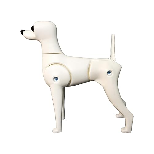 Qianly Hund Körper Modell Hund Mannequin Stehen Position Hund Modell Pet Pflege Hund Modell, Mehrfarbig, Teddy-Hund